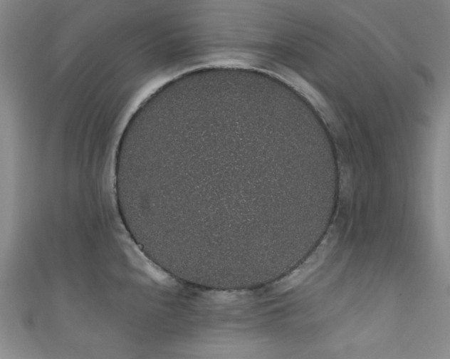 X0000111831240200907231310
