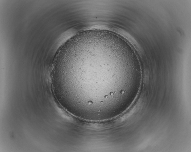 X0000111831241200907231310