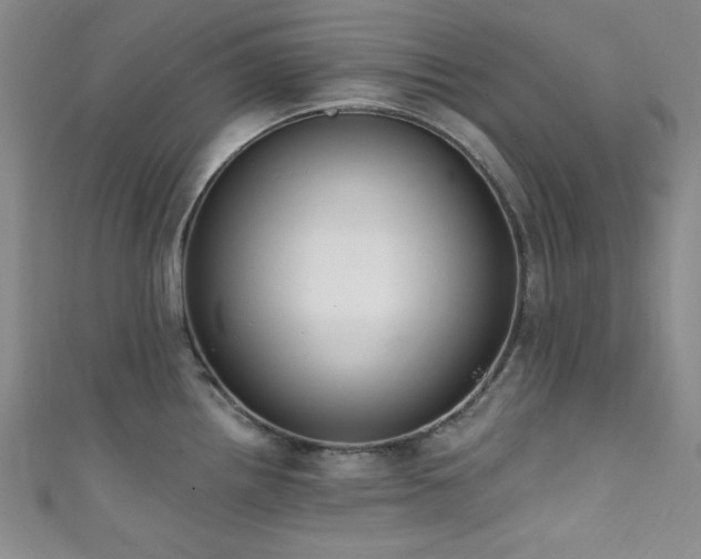 X0000111831242200907231310