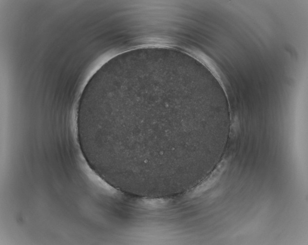X0000111831243200907231310