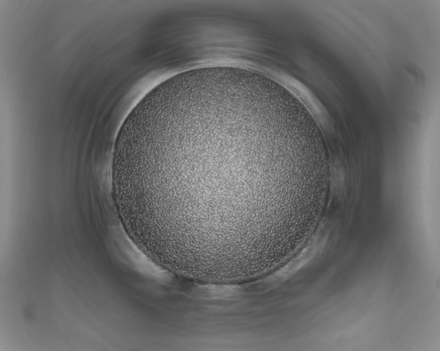 X0000111831244200907231310