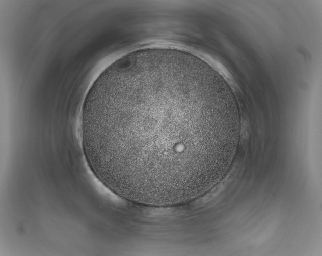 X0000111831247200907231310