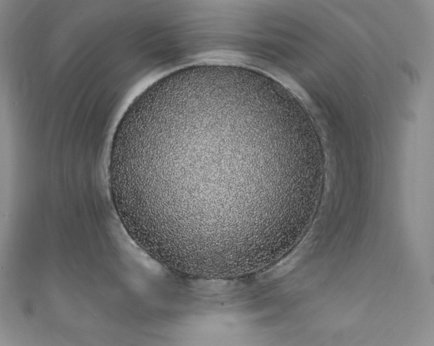 X0000111831248200907231310