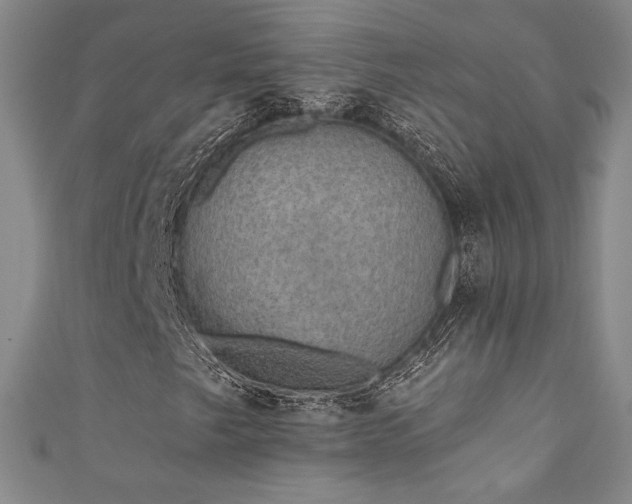 X0000111831249200907231309