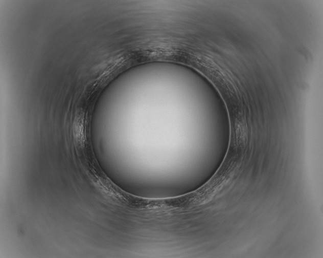 X0000111831250200907231309