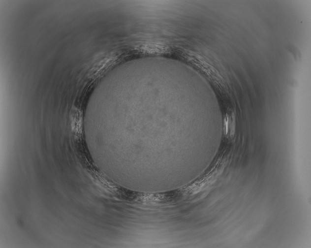 X0000111831251200907231309
