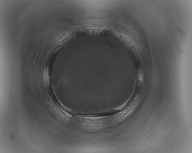 X0000111831252200907231309