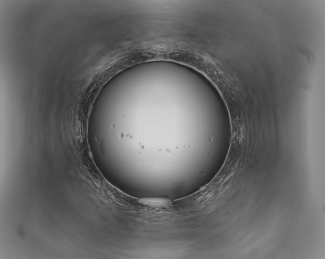 X0000111831253200907231309