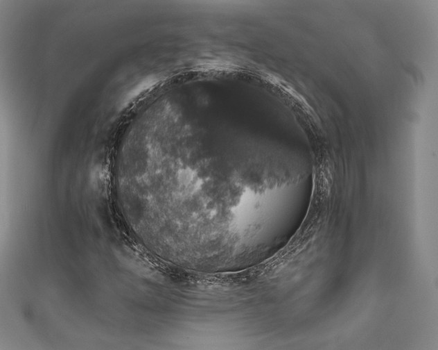 X0000111831254200907231309