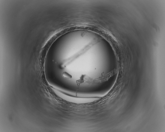 X0000111831256200907231309