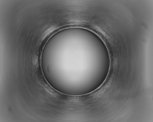 X0000111831259200907231309