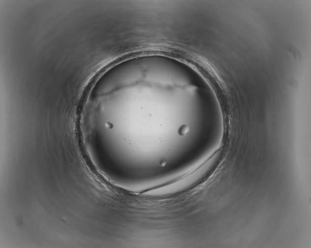 X0000111831260200907231309