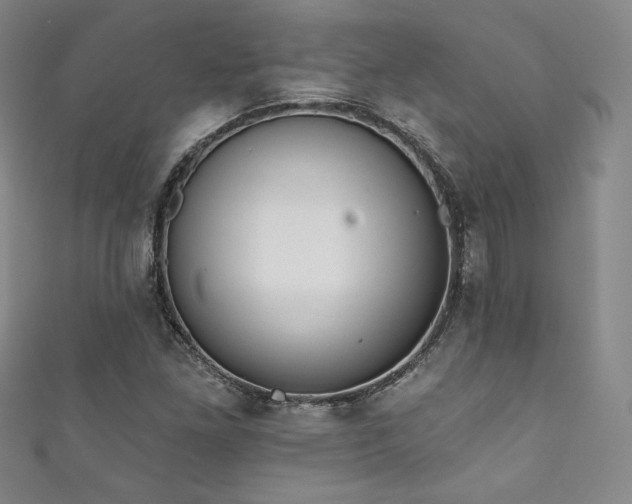 X0000111831261200907231309