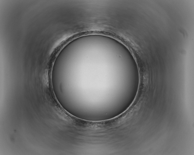 X0000111831262200907231309
