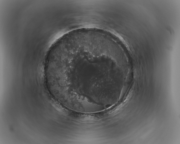 X0000111831263200907231309