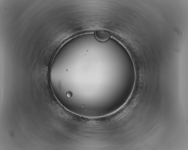 X0000111831265200907231309