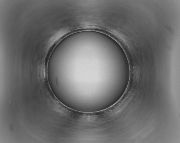 X0000111831269200907231309
