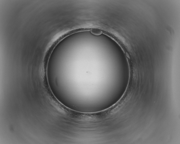 X0000111831270200907231309