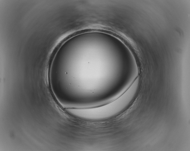 X0000111831272200907231309