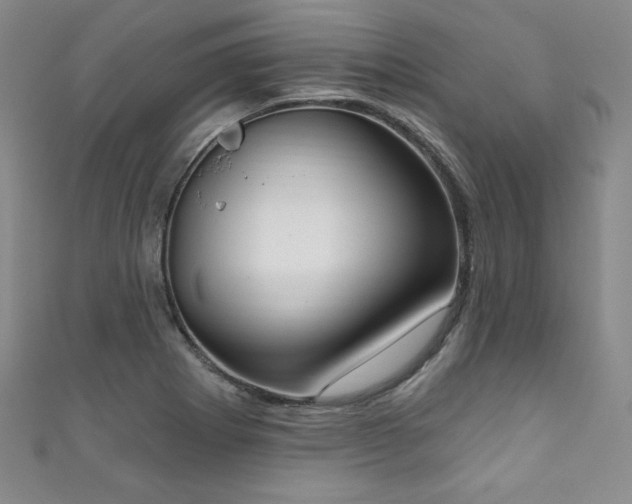 X0000111831273200907231309