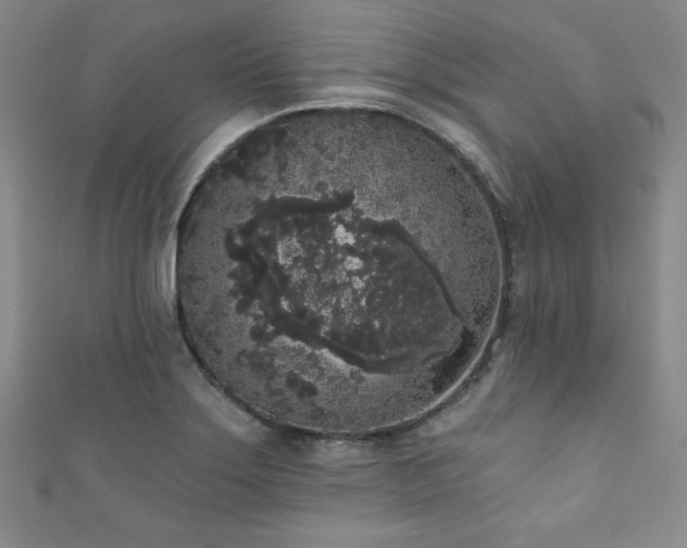 X0000111831275200907231309