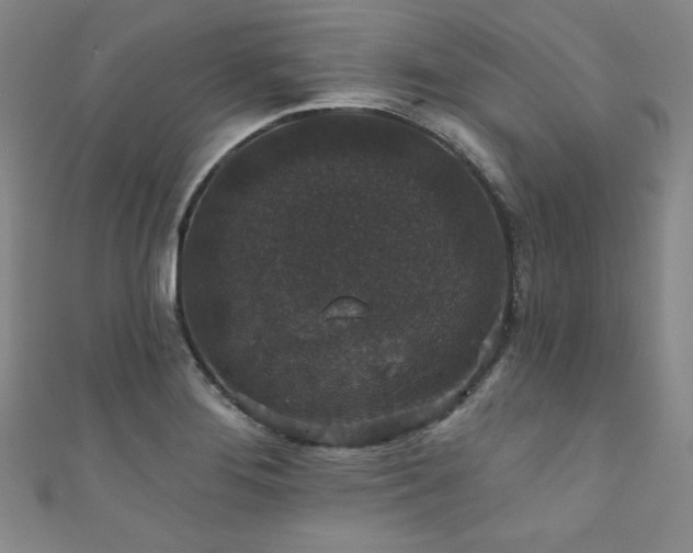 X0000111831276200907231309