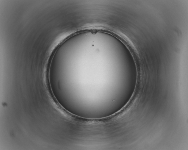 X0000111831277200907231309