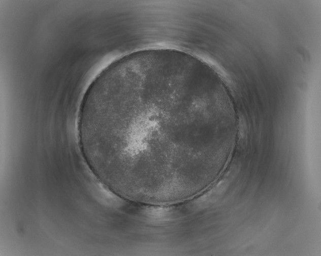 X0000111831278200907231309