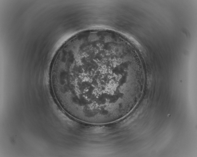X0000111831279200907231309