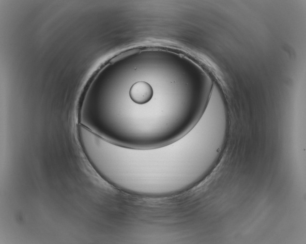 X0000111831280200907231309