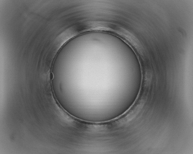 X0000111831281200907231309