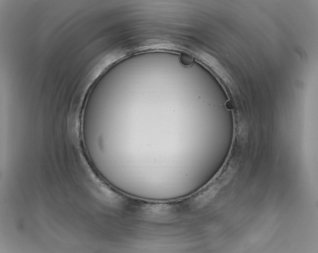 X0000111831282200907231309