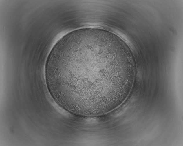 X0000111831283200907231309