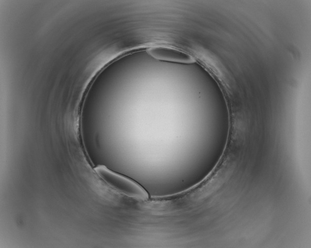 X0000111831284200907231309
