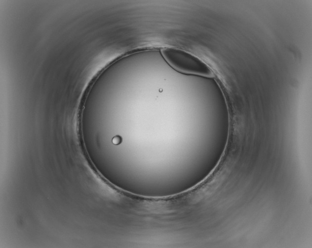 X0000111831285200907231309