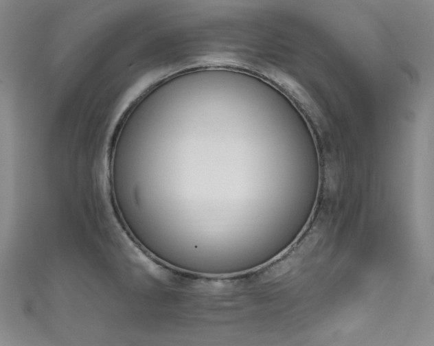 X0000111831286200907231309