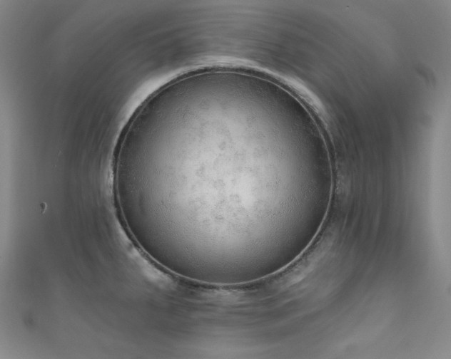 X0000111831287200907231309