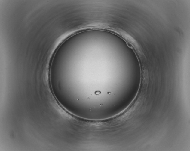 X0000111831288200907231309