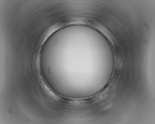 X0000111831290200907231309