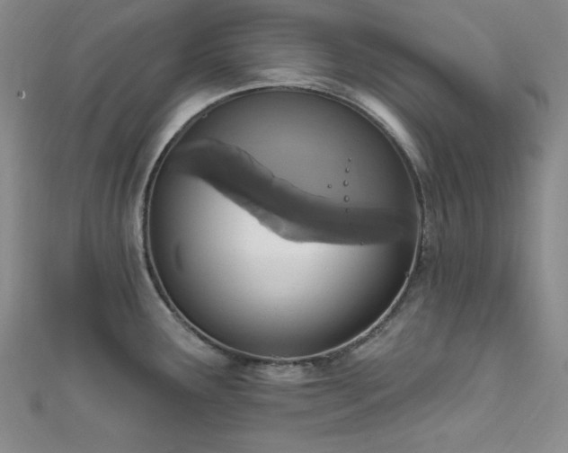 X0000111831291200907231309