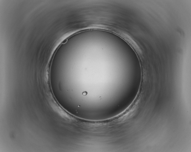 X0000111831292200907231309