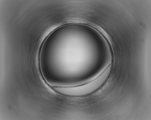 X0000111831293200907231309