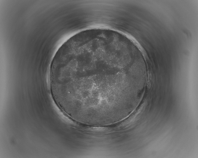 X0000111831295200907231309