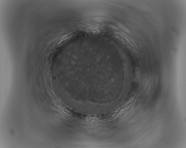 X0000111831297200907231308