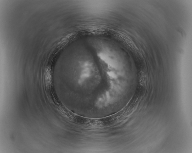 X0000111831298200907231308