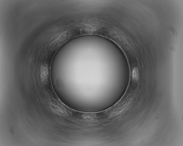X0000111831299200907231308