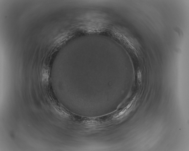 X0000111831300200907231308