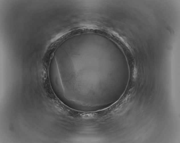 X0000111831303200907231308