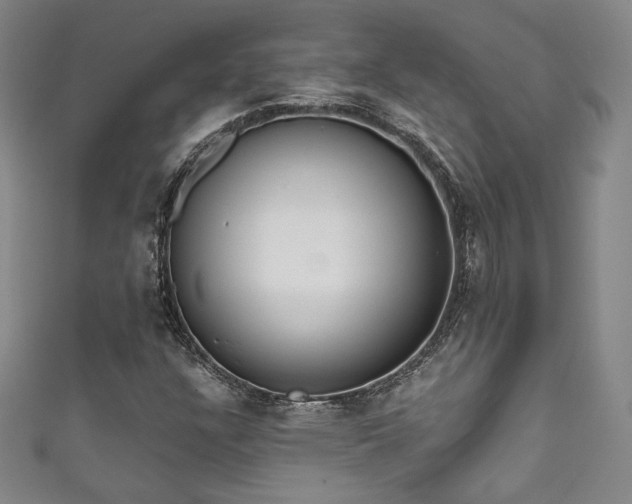 X0000111831304200907231308