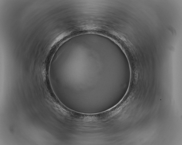 X0000111831306200907231308